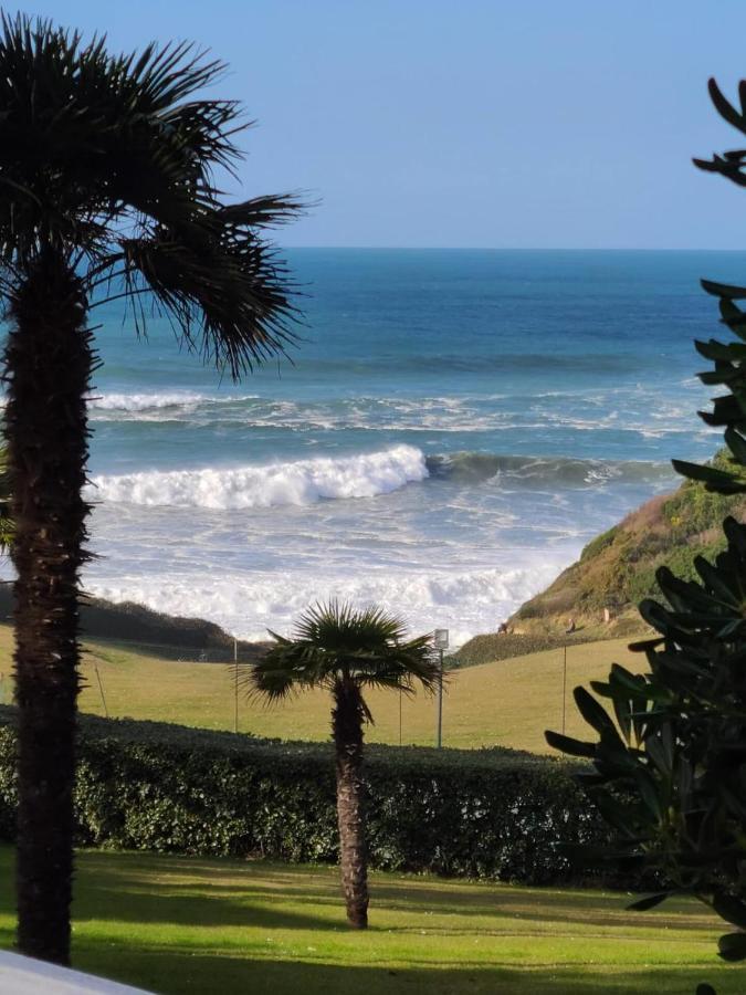 Inedit Duplex Free Parking Apartment Saint-Jean-de-Luz